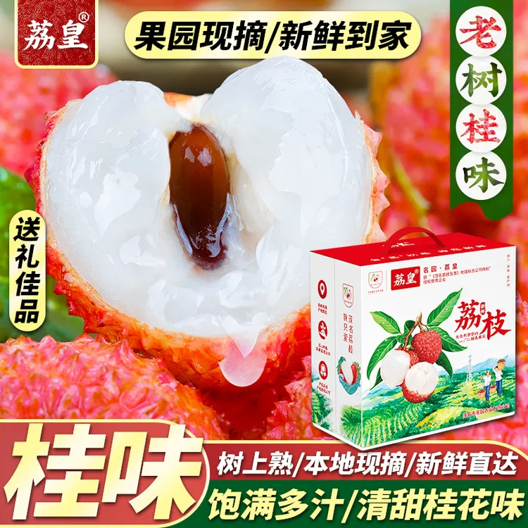 荔皇热卖桂味荔枝广东茂名顺丰4.5斤礼盒新鲜送礼水果长安的荔枝R
