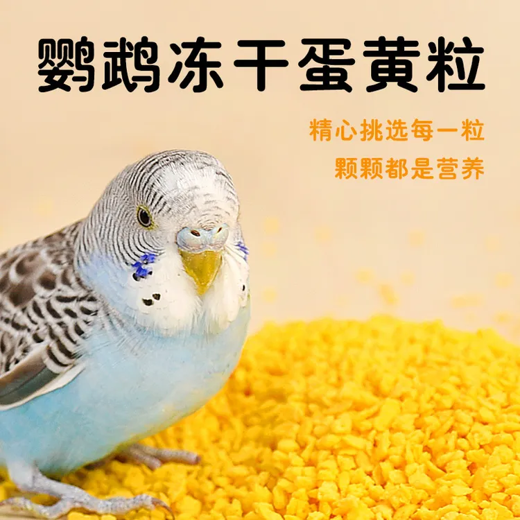 鹦鹉冻干蛋黄颗粒训练奖励零食玄凤牡丹虎皮饲料伴侣繁殖鹦鹉食粮