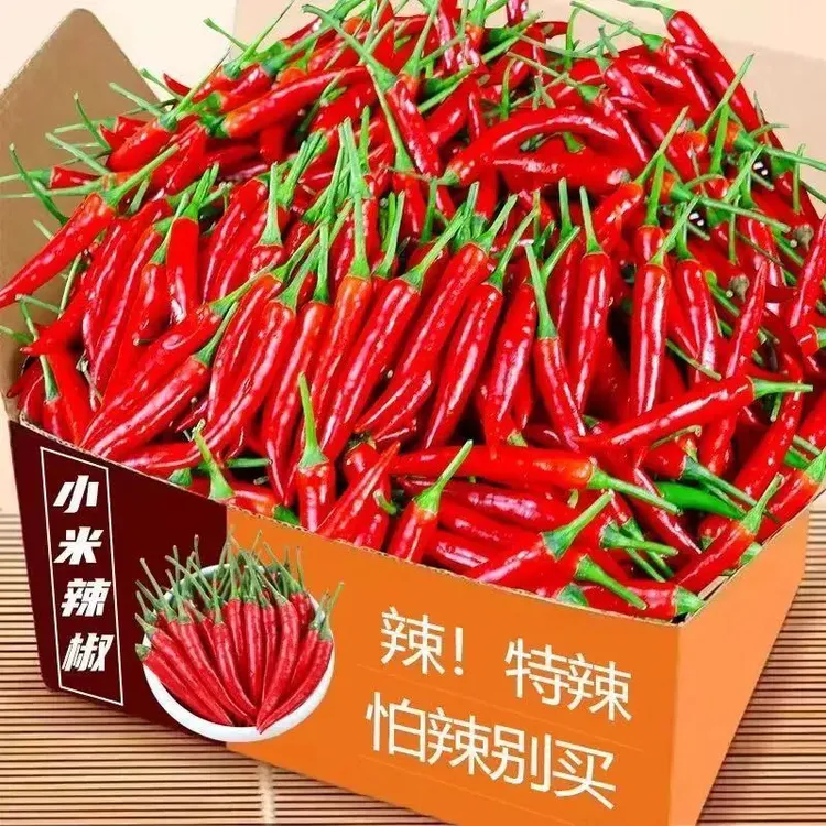 x小米椒新鲜现摘小米辣特辣红辣椒朝天椒指天椒泡椒剁椒农家批发9