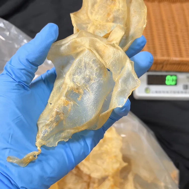 顺风斗湖58头今年新胶。清水货