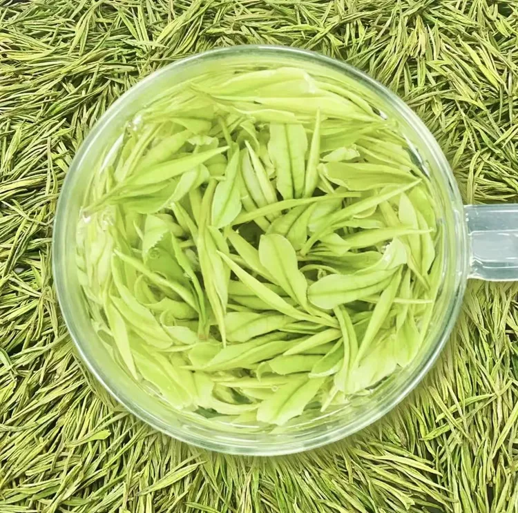 【2025新茶】 A45 安吉原产地明前高山茶 兰花香白茶  春茶 茶礼  