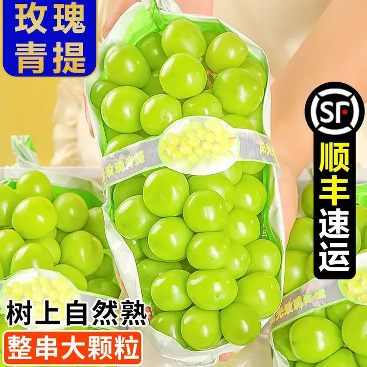 （顺丰）大凉山阳光玫瑰葡萄晴王无籽青提香甜爆汁纯甜晴王阳光玫瑰