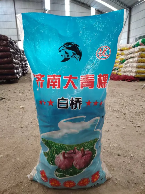 山东济南白桥达青稞原种，抗寒抗病抗重茬，苗壮叶宽抗倒伏，产量高