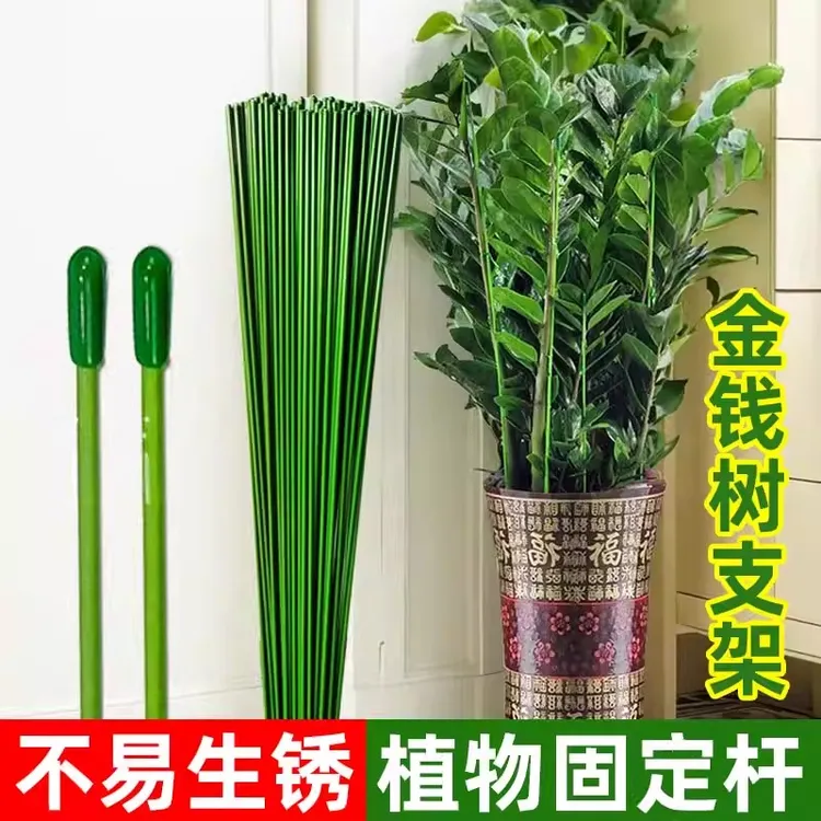 CPAI金钱树支撑杆园艺花架花园庭院爬藤架防倒伏插杆固定器固定杆