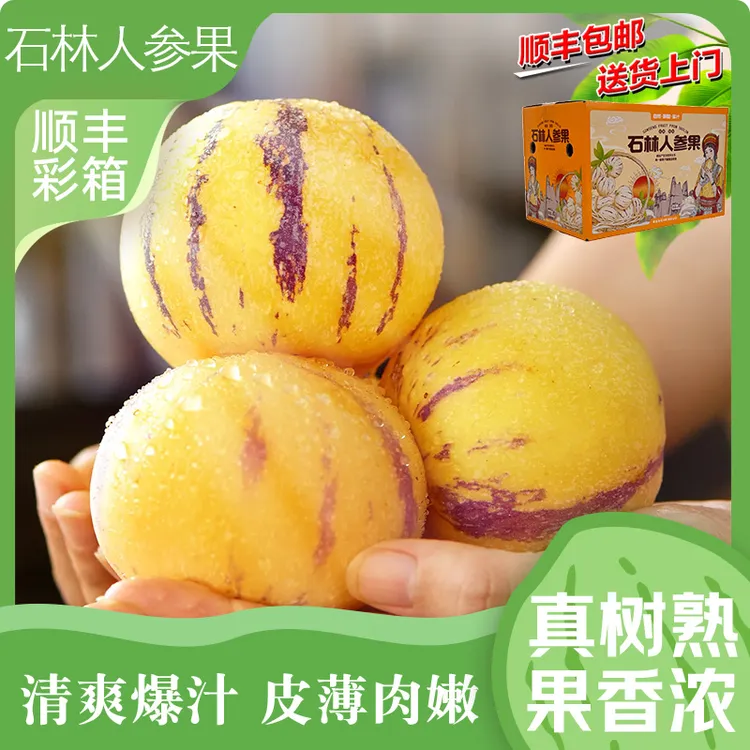 【顺丰彩箱包邮】正宗云南石林人参果现摘黄心树上熟产地直发