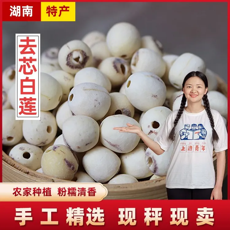 【去芯白莲】25年湘潭农家种植新货白莲 磨皮湘莲粉糯无硫