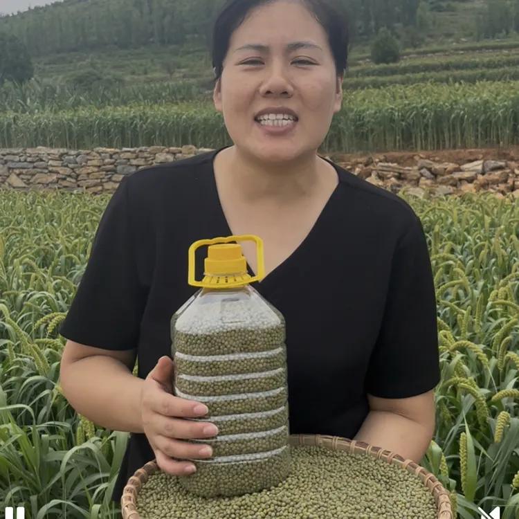 新毛绿2025年农家自种老品种软糯好煮出沙新豆毛绿豆生豆芽皮薄