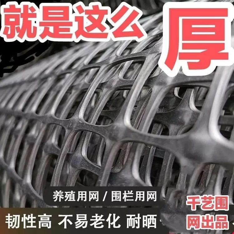 特厚养殖网塑料网养鸡圈园菜园圈地鱼塘防护网方格网玉米网围栏网