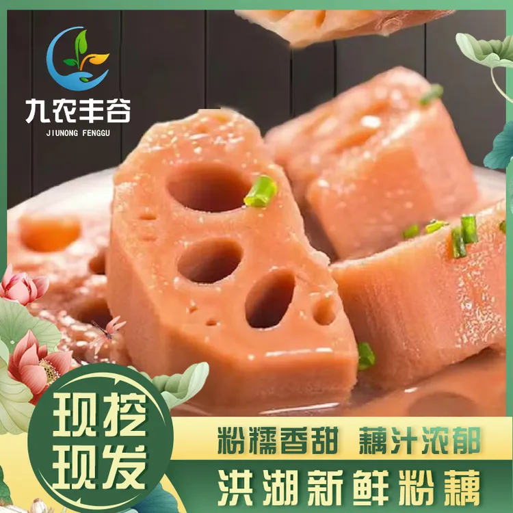【洪湖粉藕】洪湖新鲜粉藕湖北粉藕新鲜现挖裹泥九孔莲藕煲汤粉藕