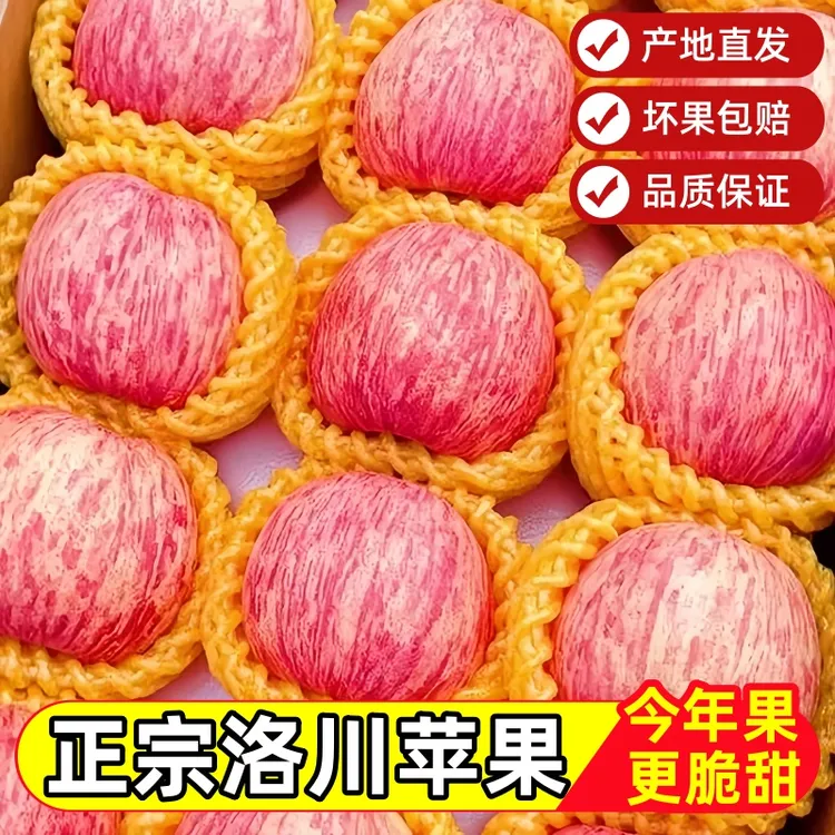 正宗洛川苹果陕西红富士脆甜多汁冰糖心产地直发当季新鲜水果