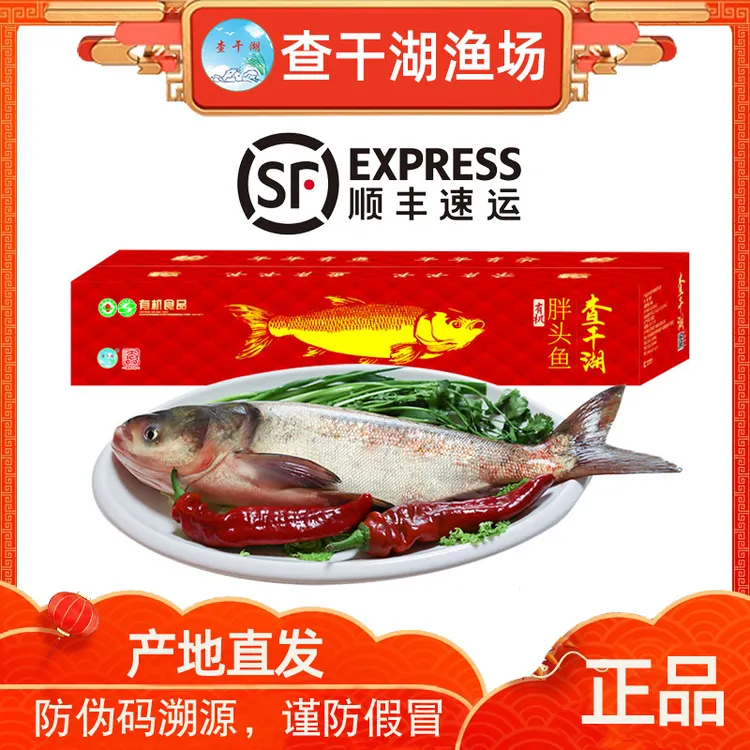 查干湖冬捕有机胖头鱼 查干湖鱼礼盒春节年夜饭大礼包