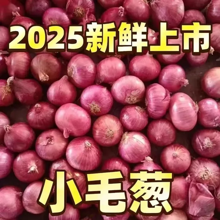 【到手5斤】2025年精选正宗小毛葱大小微有误差