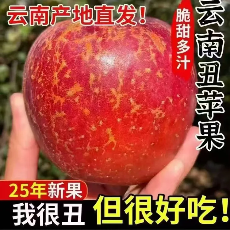 云南昭通早熟丑苹果2001酸甜爽口糖心较少