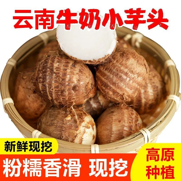 正宗贵州牛奶小芋头毛芋头芋艿香糯新鲜现挖当季蔬菜整箱批发