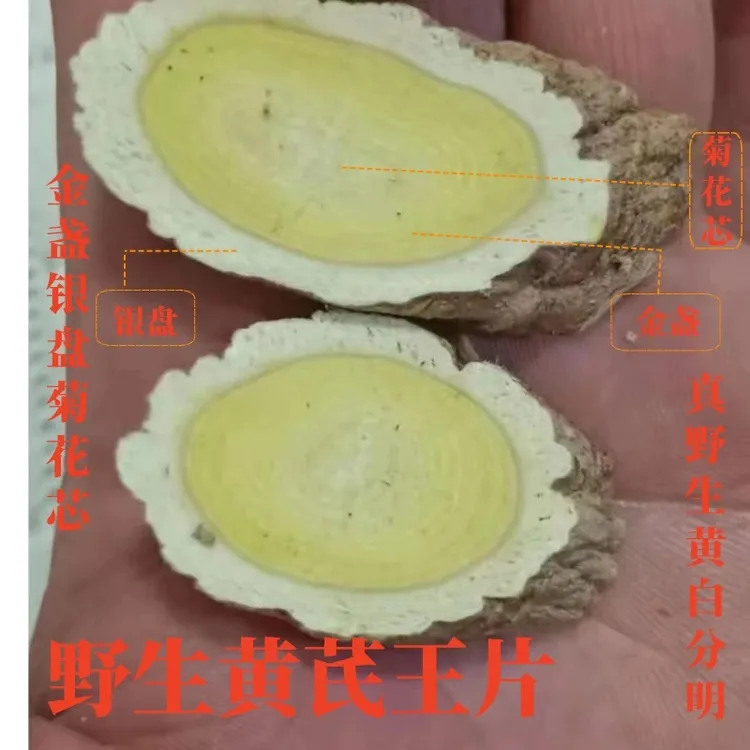 甘肃野山采挖野黄芪500克包邮特级无硫磺精选王片