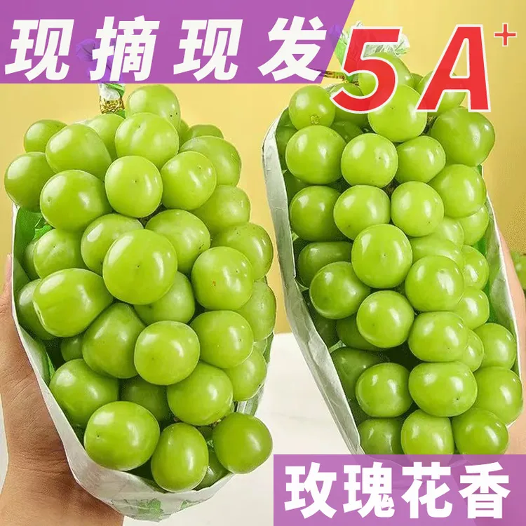 产地直发玫瑰青提阳光玫瑰葡萄无籽新鲜水果整箱