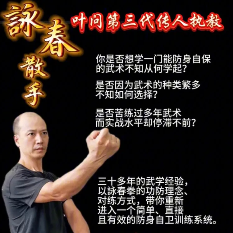 （苹果链接）咏春拳防身散手课程