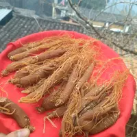 2【百-年-红-参】净含量：100-1000g【小田现收】