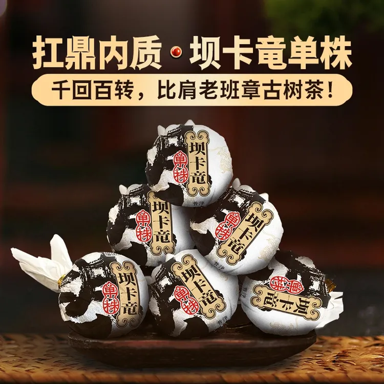 【高货体验】2019年春茶《坝卡竜单株》班章古树单株普洱茶生茶龙珠8g