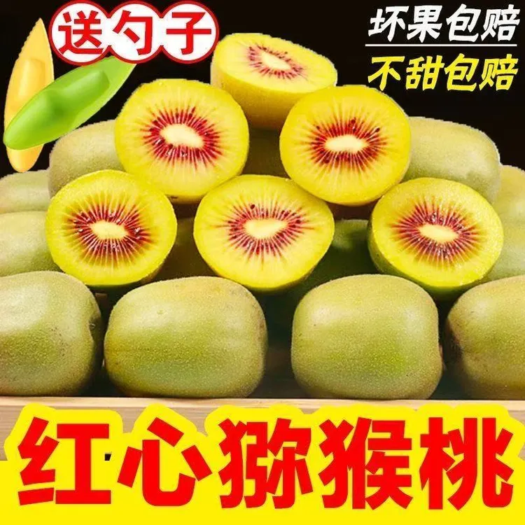 Q正宗四川蒲江红心猕猴桃奇异果当季新鲜水果50g-130g(10-24粒)