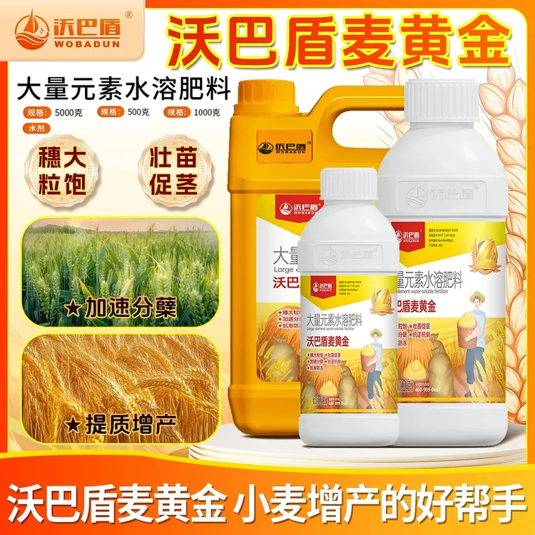 沃巴盾麦黄金小麦抗寒防冻壮苗促茎抗倒伏穗大粒饱稳产水溶肥料顿