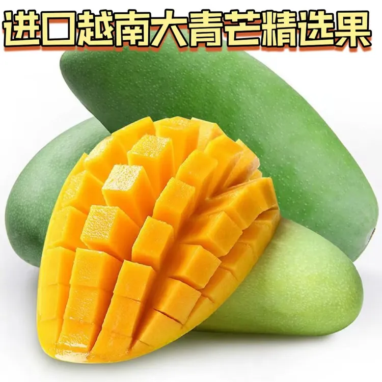 越南大青芒新鲜芒果生熟两吃孕妇水果金煌芒精选大果青皮脆甜包邮