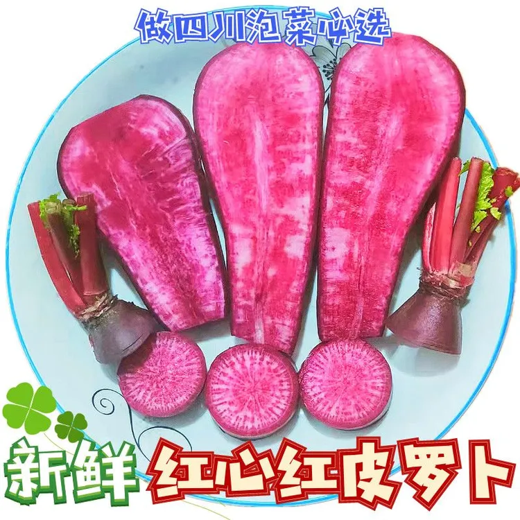泡菜专用四川新鲜红皮红心萝卜涪陵胭脂萝卜新鲜现挖