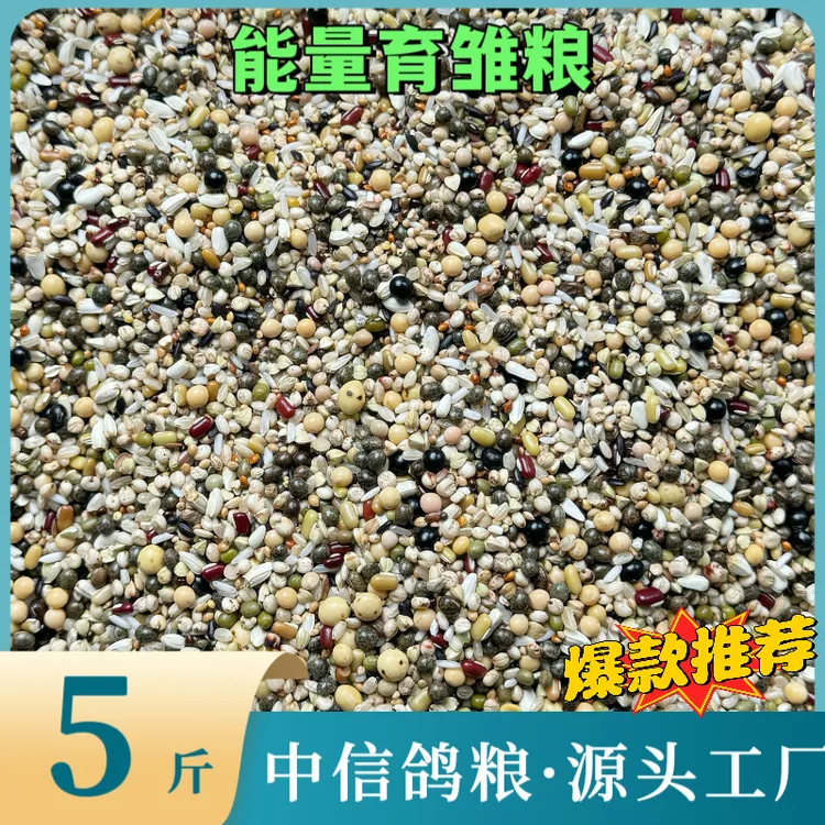 中信能量育雏粮5/9斤无玉米无红高粱纯小颗粒荞麦育雏喷窝鸽粮