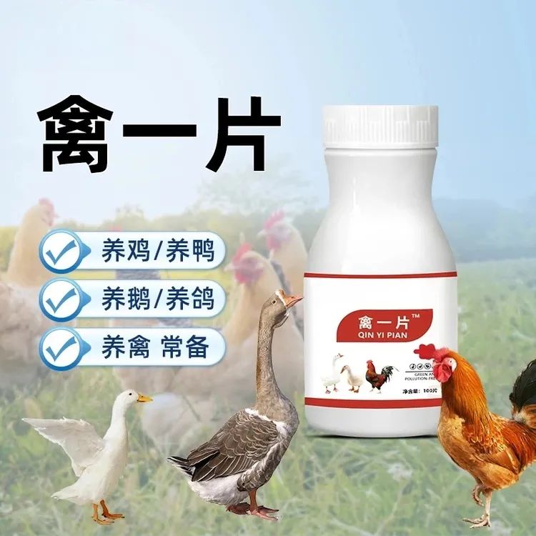 【4·8抢100片】禽一片正品禽类养殖鸡鸭鹅通用使用产品畜牧添加剂