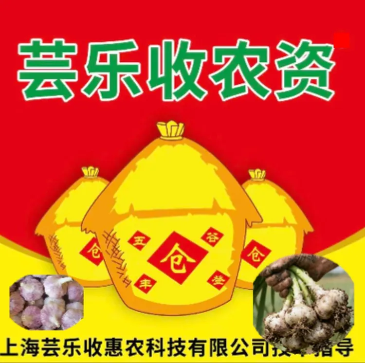 年后三遍大蒜专用套餐一套12合一上海芸乐收农资套餐叶面肥