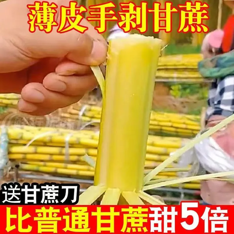 云南甘蔗现砍现发新鲜应季水果清甜多汁脆皮手撕肉厚皮薄黄金甘蔗