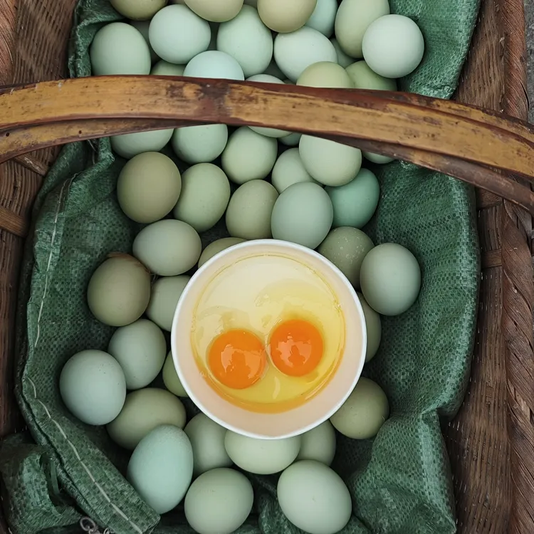 武穴散养土鸡蛋绿壳蛋无铅皮蛋鸭蛋鹅蛋咸鸭蛋新鲜鸡蛋