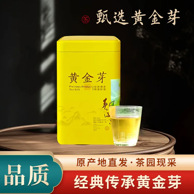 安吉黄金芽浓香型豆香味耐泡绿茶茶叶2025新茶