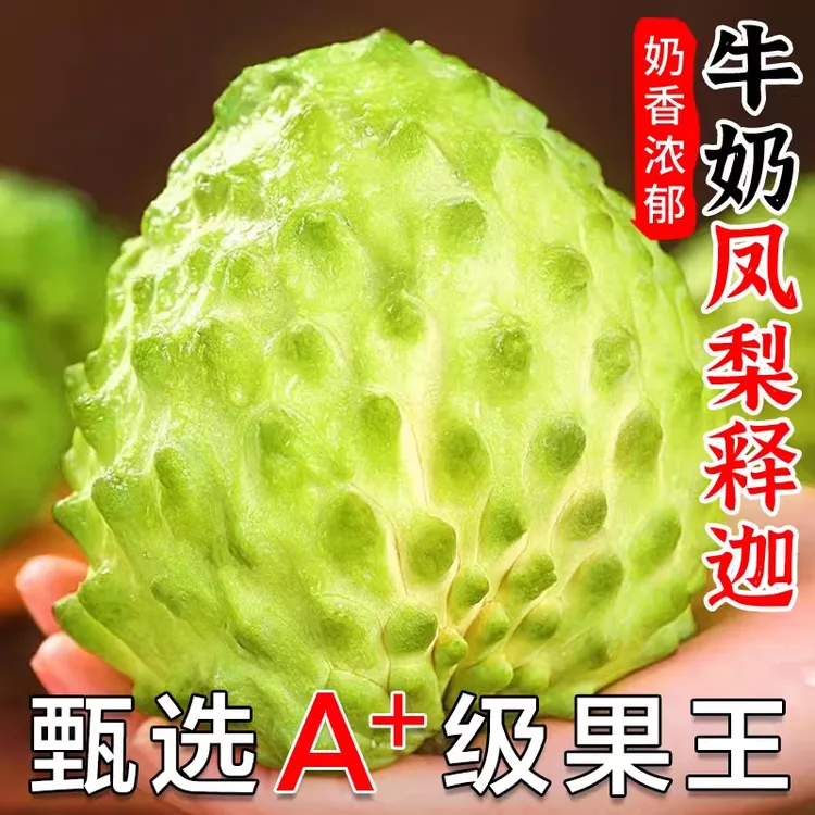 正宗云南释迦果番荔枝新鲜水果牛奶释迦 顺丰包邮