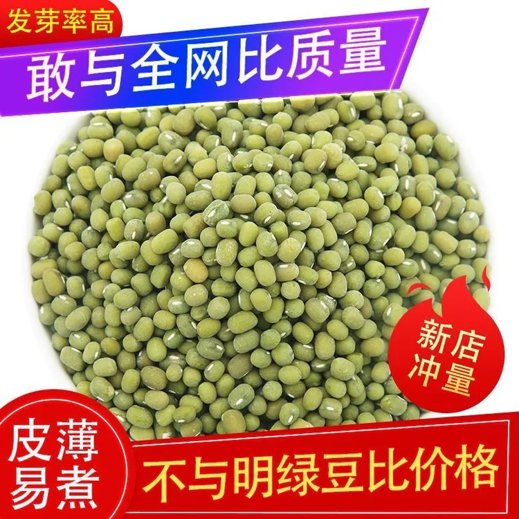 沂蒙山老品种优质毛绿豆