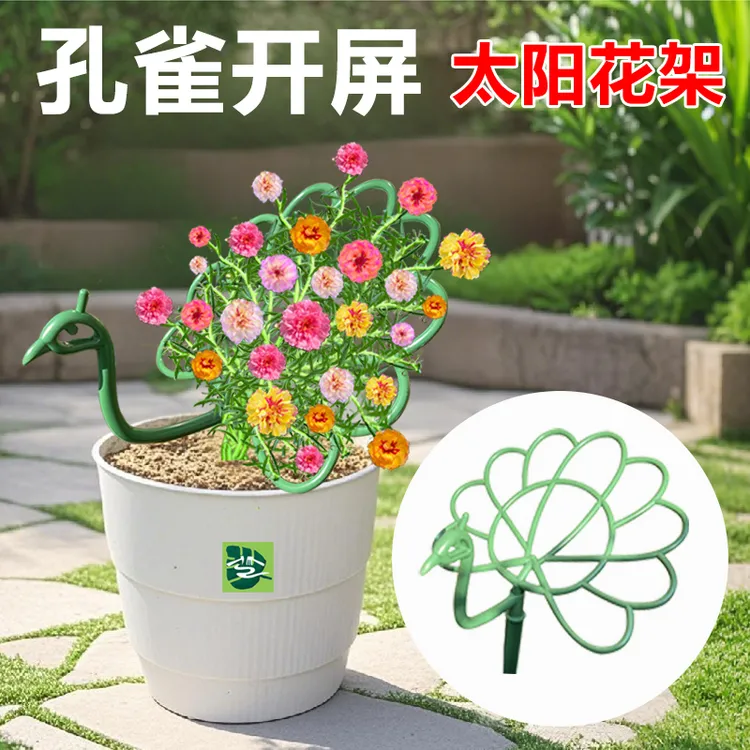 太阳花专用孔雀造型支架蟹爪兰嫁接专用多层支撑花架孔雀花支架