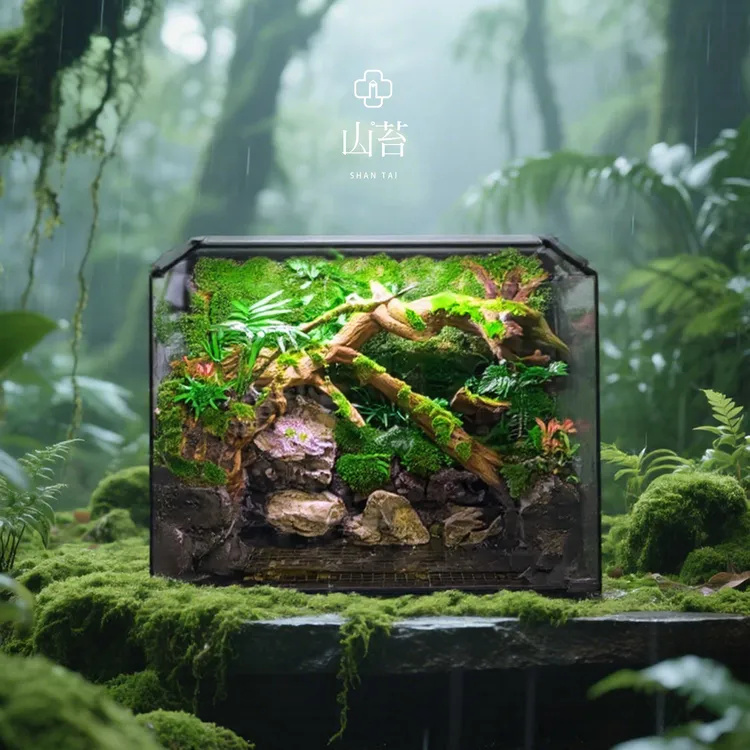【山苔微景观】懒人植物守宫雨林缸树蛙昆虫缸造景成品50*30*35cm