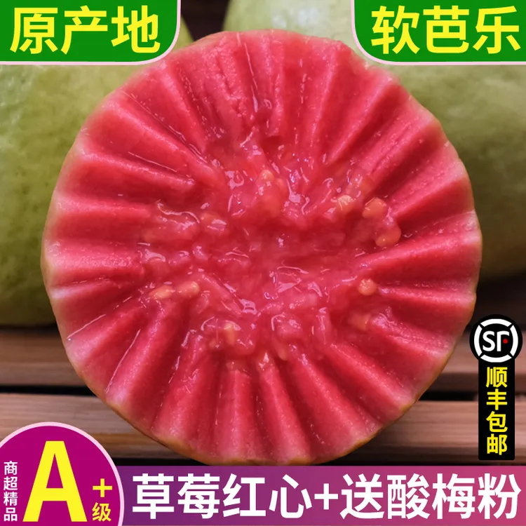 【草莓红心】顺丰包邮 正宗软香芭乐应季水果高维C新鲜摘广西番石榴