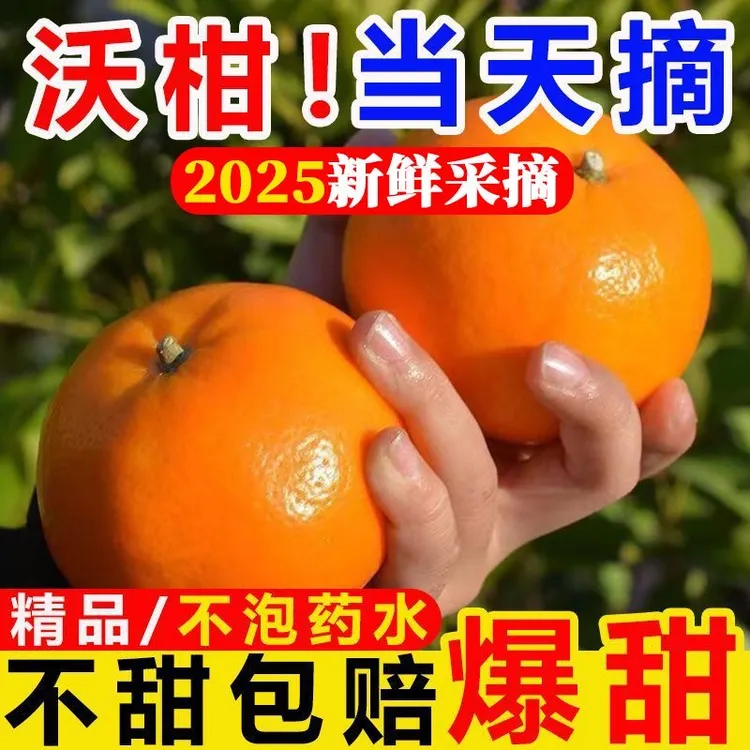 广西沃柑当季水果应季水果纯甜无酸橘子橙子桔子超甜薄皮新鲜水果