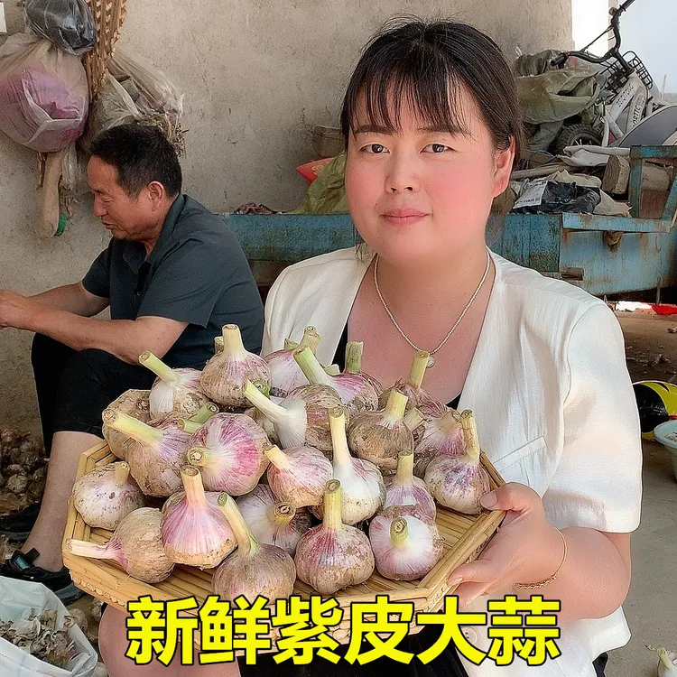 2025年现挖新鲜紫皮大蒜湿蒜鲜大蒜头腌制嫩蒜红皮蒜蔬菜生蒜5斤
