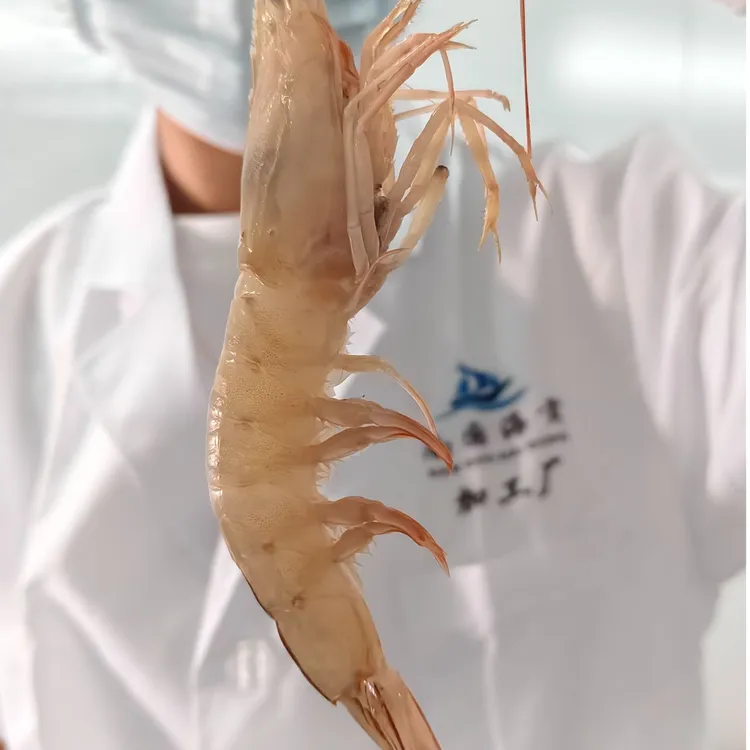 南国海贡天然速冻麻虾