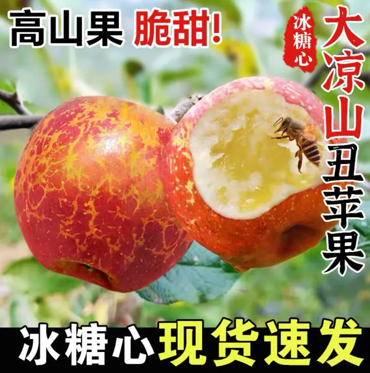 【25年冰糖心丑苹果】四川大凉山高原冰糖心丑苹果脆甜现摘5/8斤