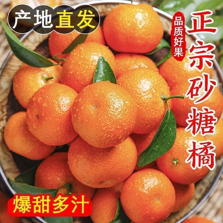 5斤/9斤正宗广西沙糖桔薄皮小桔子砂糖橘新鲜甜整箱柑橘水果桂林
