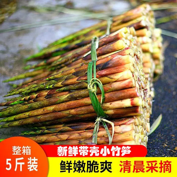 贵州雷公山新鲜带壳八月笋现摘现发嫩笋石竹笋刺竹笋保鲜发货