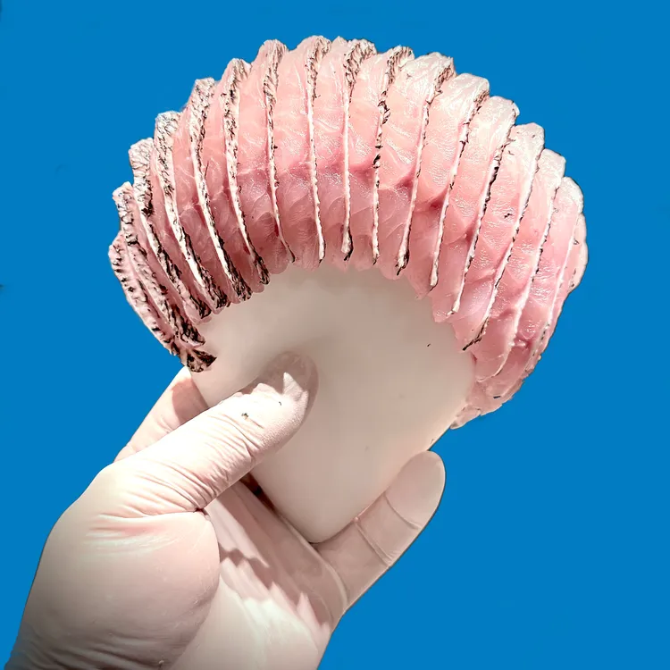 扇形贝壳形鱼片模具新款立体萝卜圈模具姿造东星斑老虎斑弧形装饰