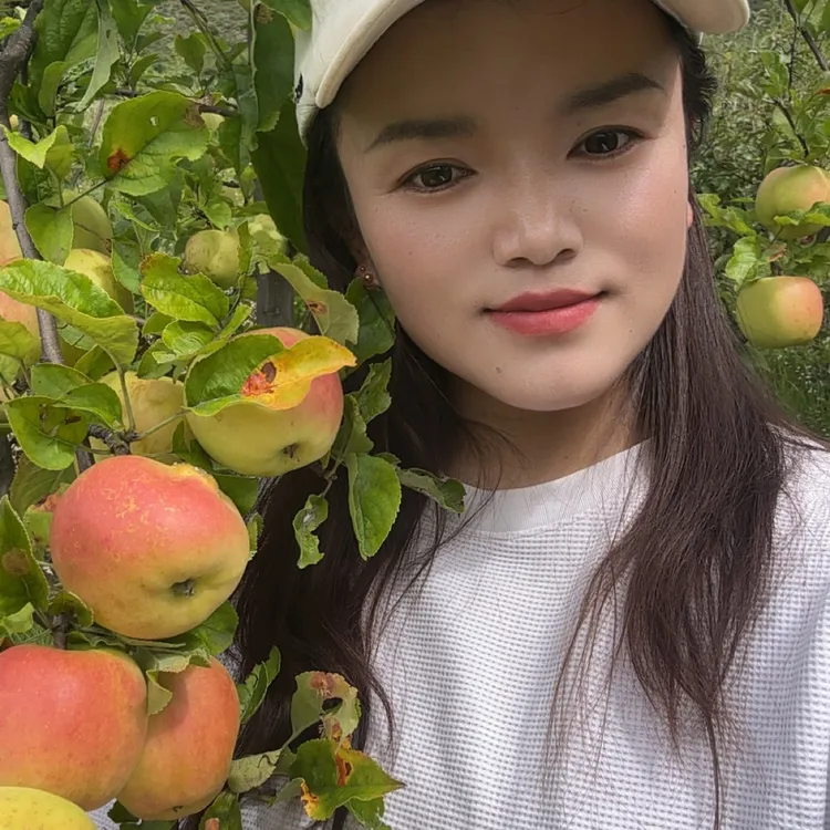 林芝黄香蕉苹果【老百姓自家院种植】礼盒装