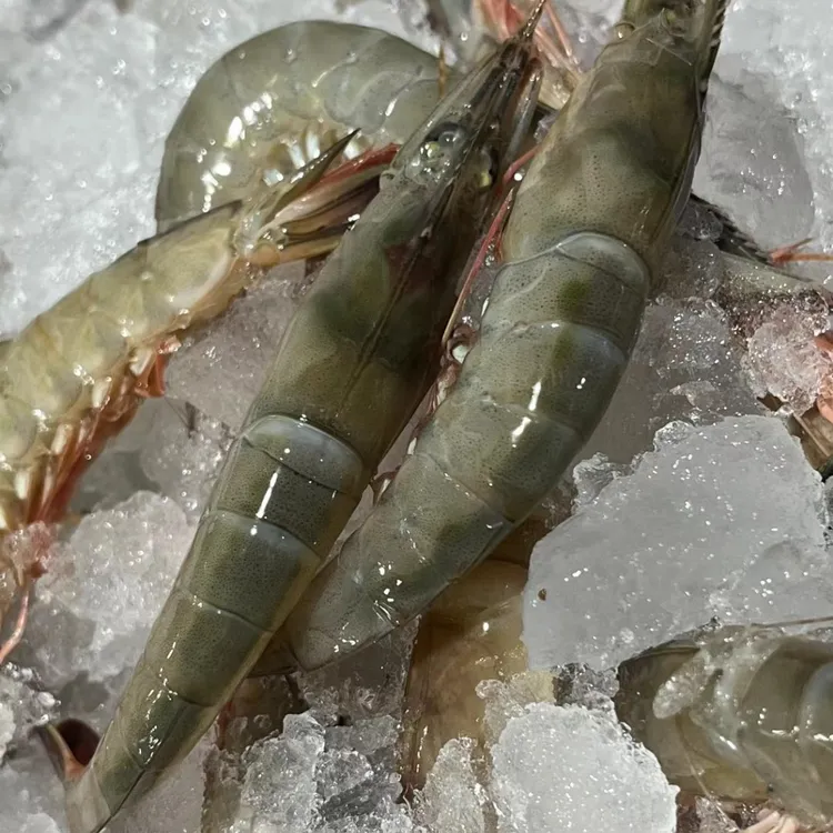 舟山大号野生青壳滑皮虾新鲜大虾一斤35-40只左右
