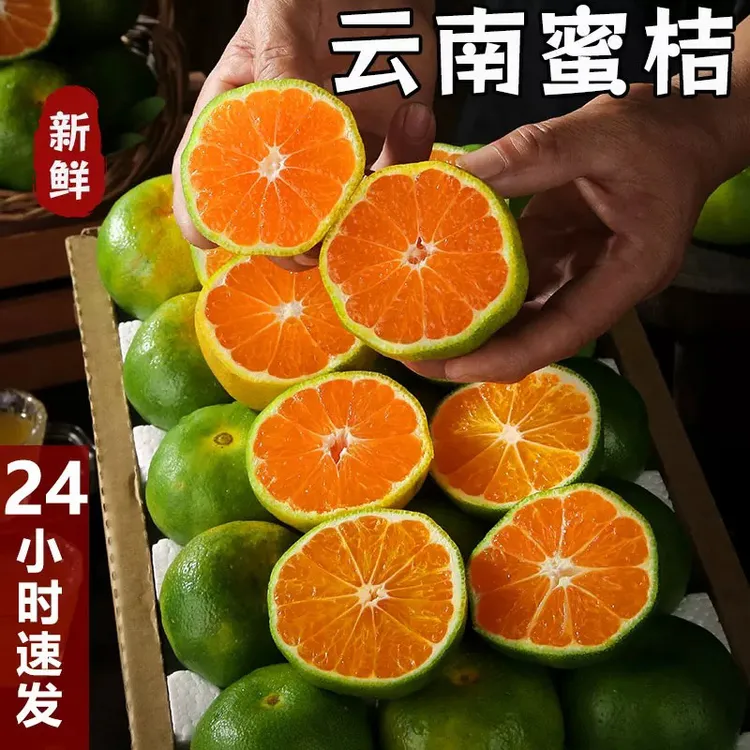 【云南蜜橘】云南青皮无籽蜜桔新鲜应季水果酸甜多汁适合孕妇