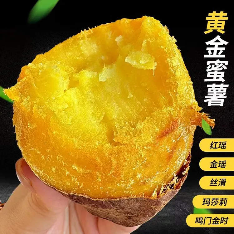 云南高山榴莲榴莲金薯地瓜榴莲蜜薯丝滑蜜薯番薯胖胖薯圆果红薯