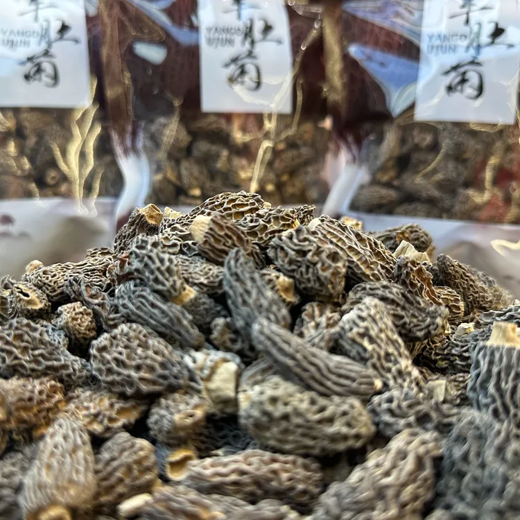 【子光推荐】海庆堂精选西藏农家羊肚菌100g煲汤味道浓郁